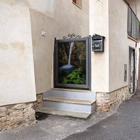 Pin E Cele * 드로네로