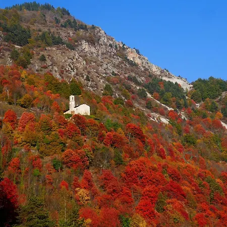 Pin E Cele * Dronero